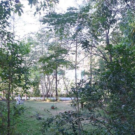 Sterling Nature Trails Dabhosa , Jawahar Birjpara Zewnętrze zdjęcie