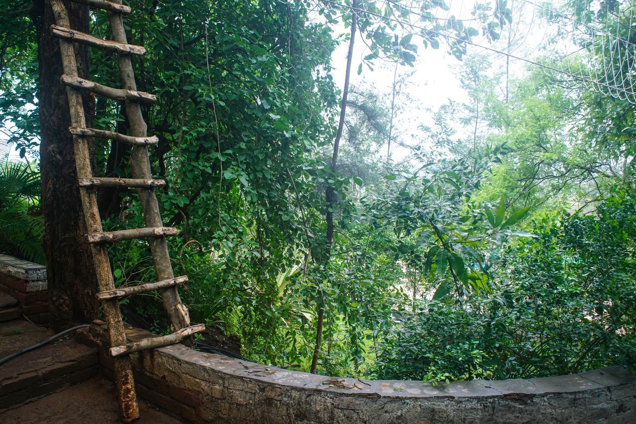 Sterling Nature Trails Dabhosa , Jawahar Birjpara Zewnętrze zdjęcie