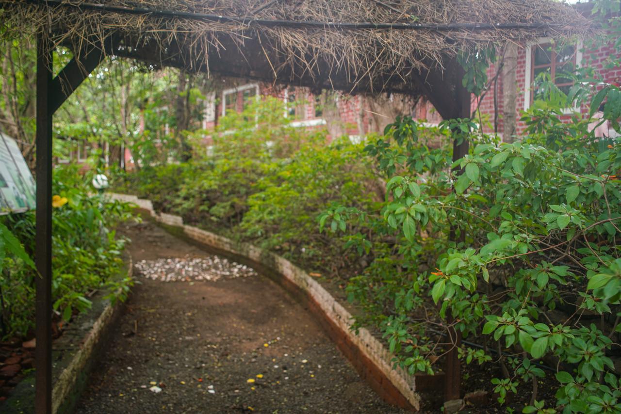 Sterling Nature Trails Dabhosa , Jawahar Birjpara Zewnętrze zdjęcie