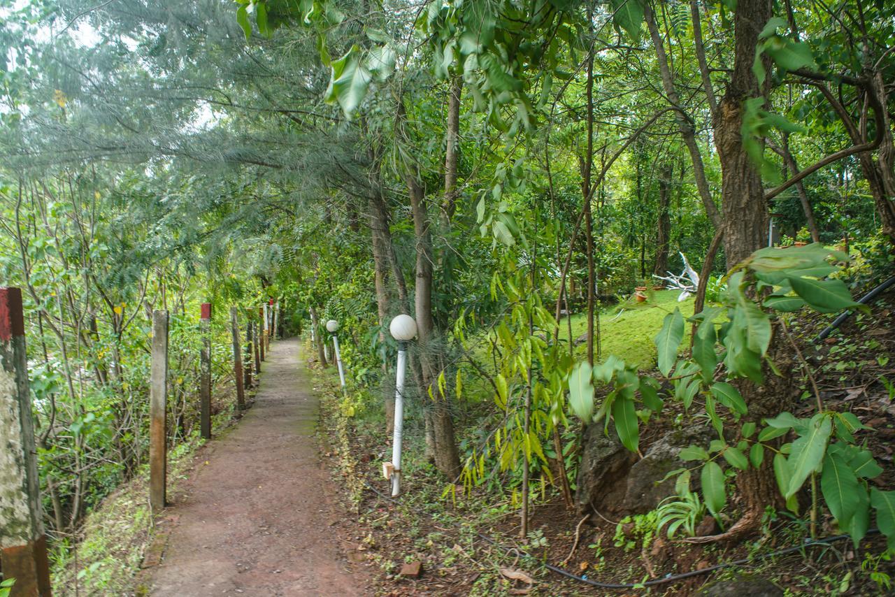 Sterling Nature Trails Dabhosa , Jawahar Birjpara Zewnętrze zdjęcie